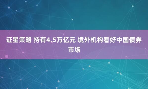 证星策略 持有4.5万亿元 境外机构看好中国债券市场