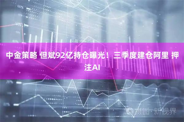 中金策略 但斌92亿持仓曝光！三季度建仓阿里 押注AI